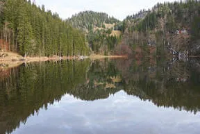Der Taubensee Bild 10