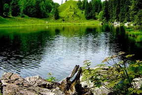 Der Taubensee Bild 16
