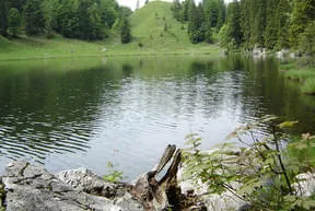 Der Taubensee Bild 1