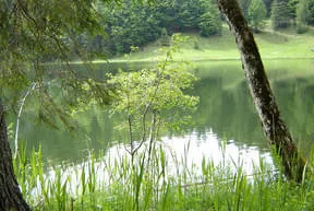 Der Taubensee Bild 3