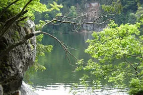 Der Taubensee Bild 0