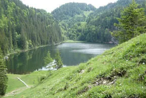 Der Taubensee Bild 6