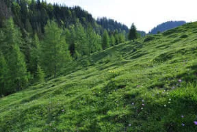 Rundum Bild 4