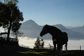 Rundum Bild 6