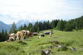 Rundum Bild 14